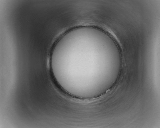 X0000112360019200908131243