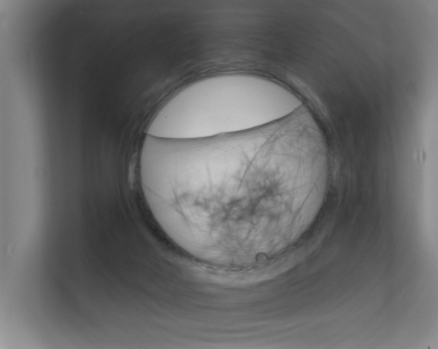 X0000112360026200908131243