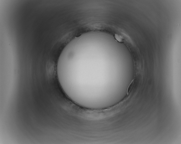X0000112360029200908131243