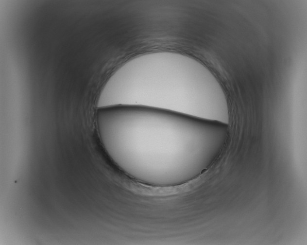 X0000112360031200908131243