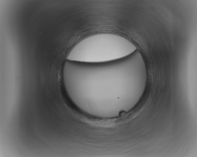 X0000112360032200908131243