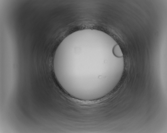 X0000112360034200908131243