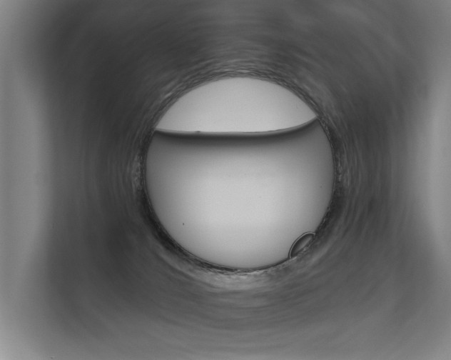 X0000112360036200908131243