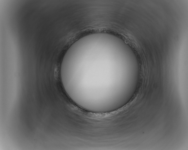 X0000112360037200908131243