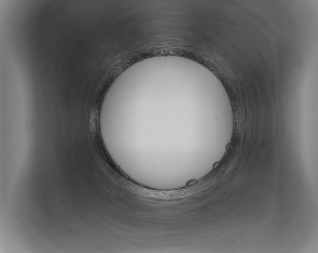 X0000112360038200908131243