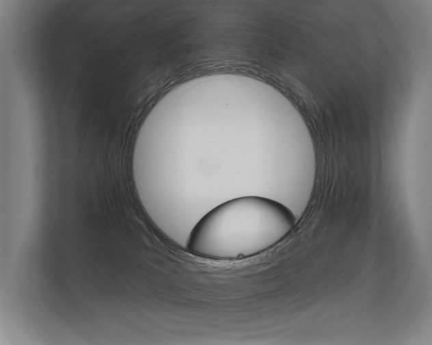 X0000112360039200908131243