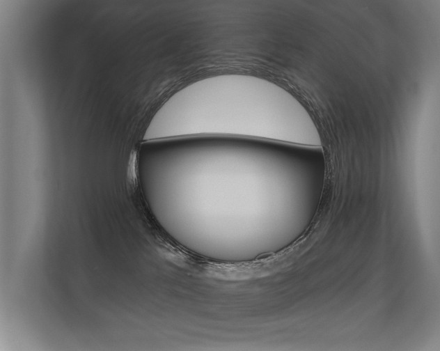 X0000112360041200908131243