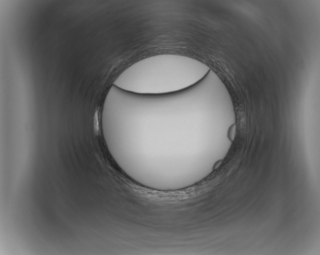 X0000112360042200908131243