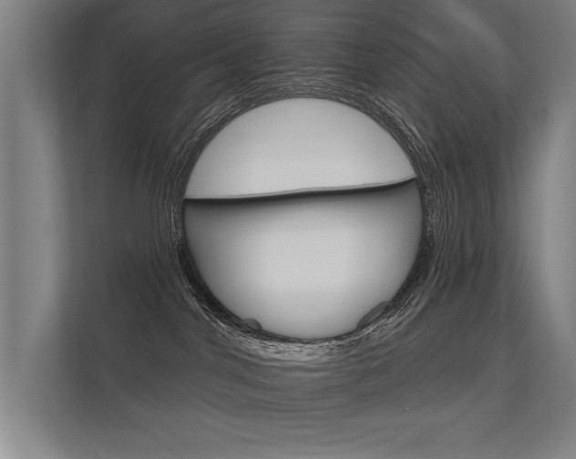 X0000112360044200908131243