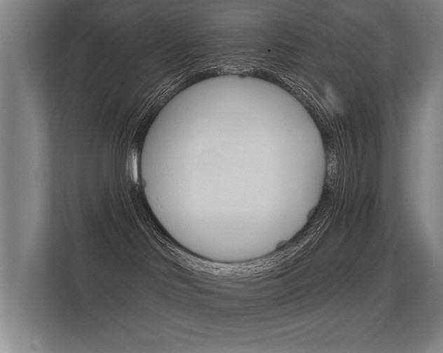 X0000112360046200908131243