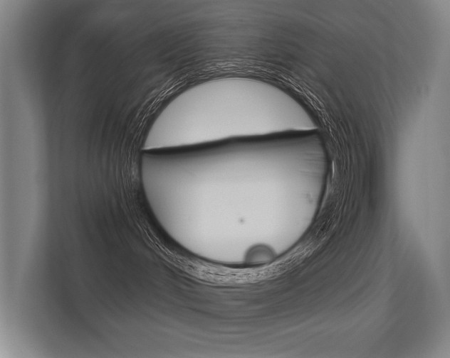 X0000112360048200908131243