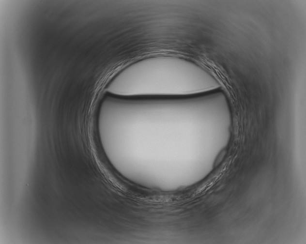 X0000112360049200908131242
