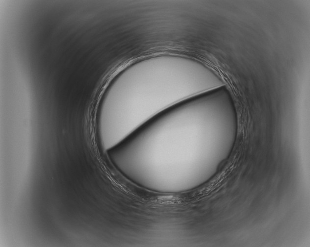 X0000112360050200908131242