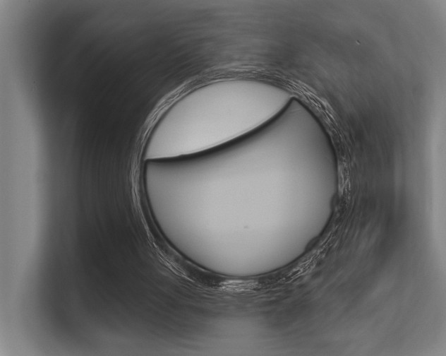 X0000112360051200908131242