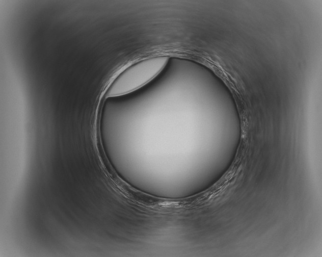 X0000112360052200908131242
