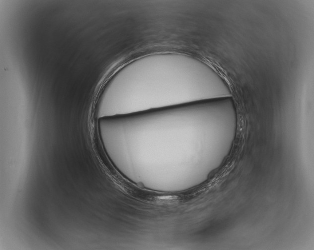 X0000112360053200908131242