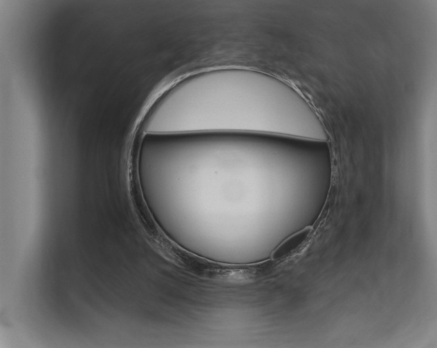 X0000112360056200908131242