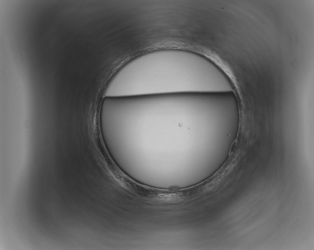 X0000112360057200908131242