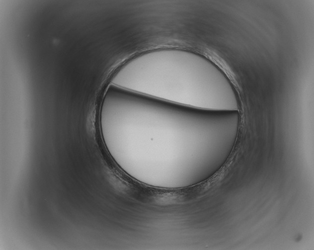 X0000112360058200908131242
