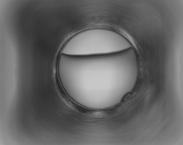 X0000112360059200908131242