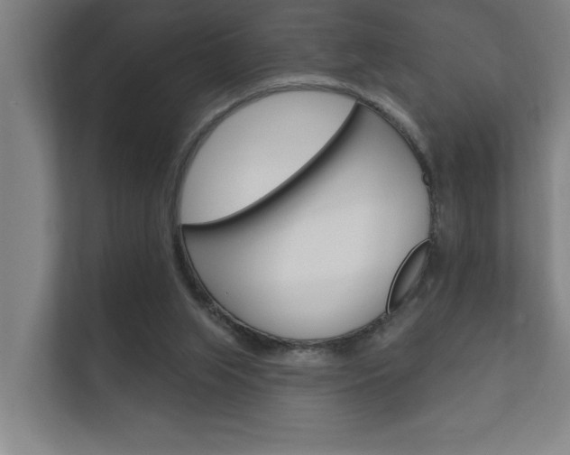 X0000112360063200908131242