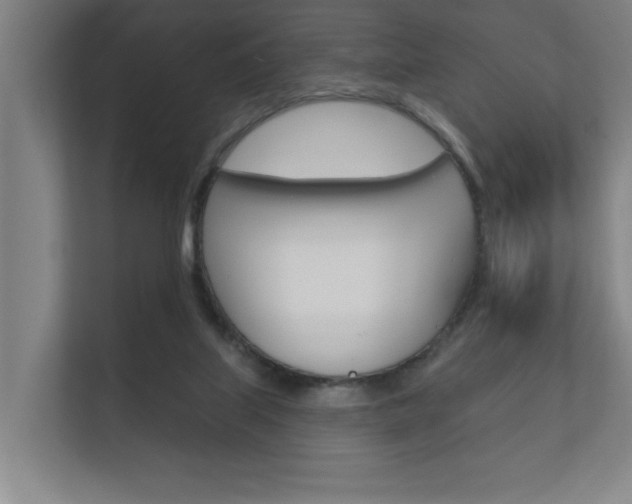 X0000112360067200908131243