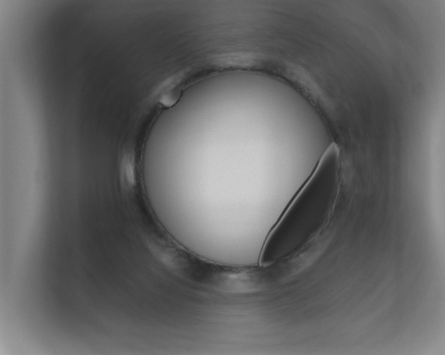 X0000112360068200908131243