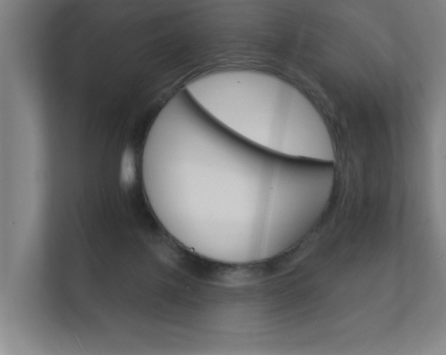 X0000112360075200908131243