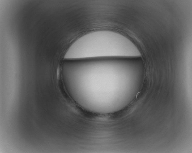 X0000112360076200908131243