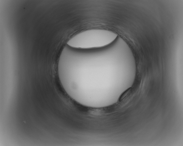 X0000112360079200908131243