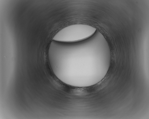X0000112360086200908131243