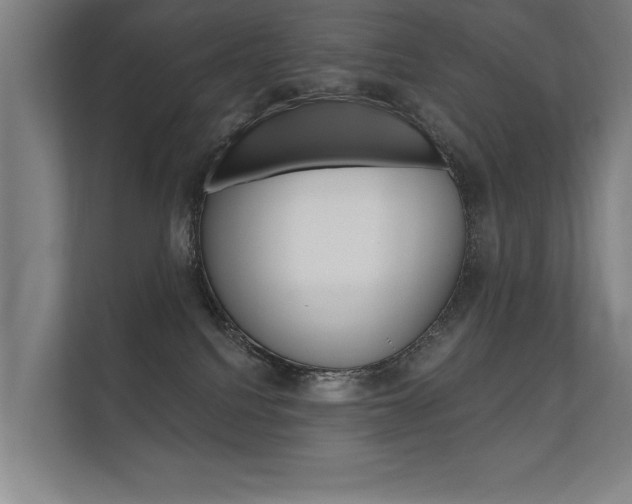 X0000112360088200908131243