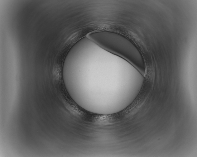 X0000112360092200908131243