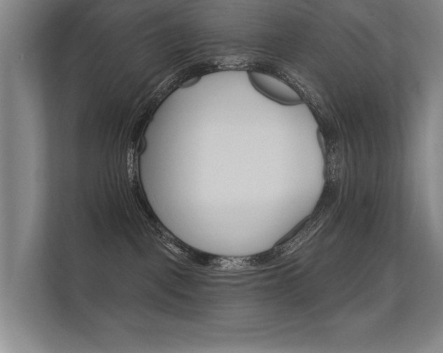 X0000112360093200908131243