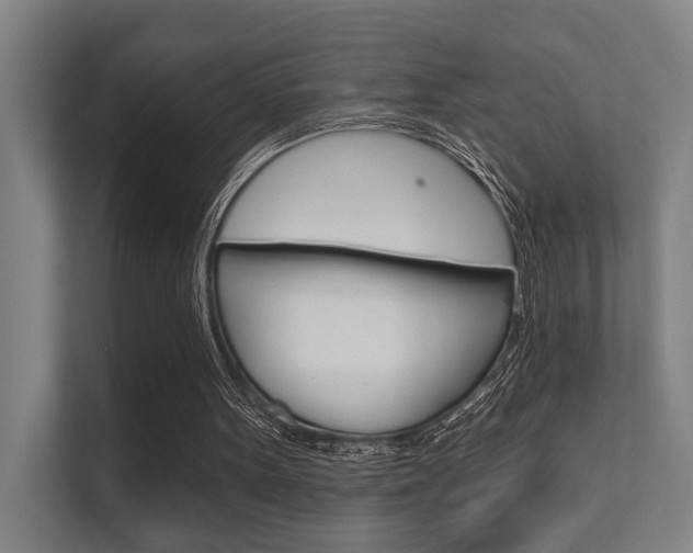 X0000112360099200908131242
