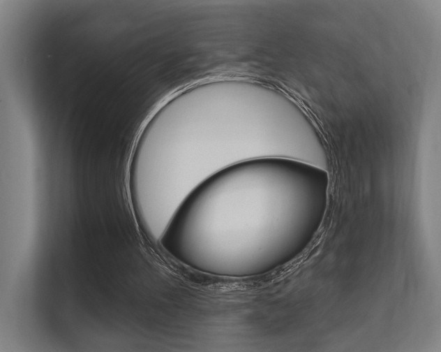 X0000112360100200908131242