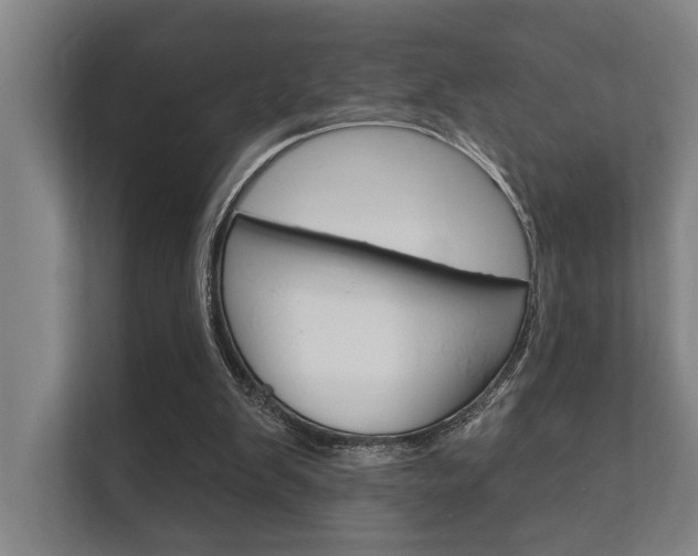 X0000112360103200908131242