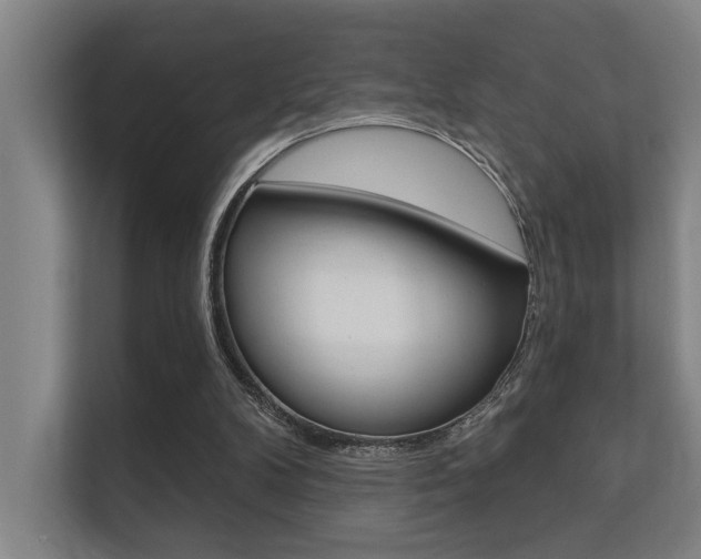 X0000112360104200908131242