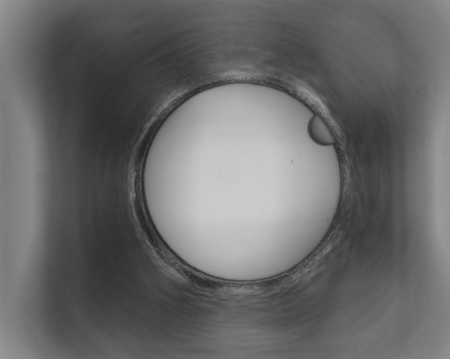 X0000112360106200908131242