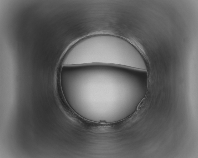 X0000112360108200908131242