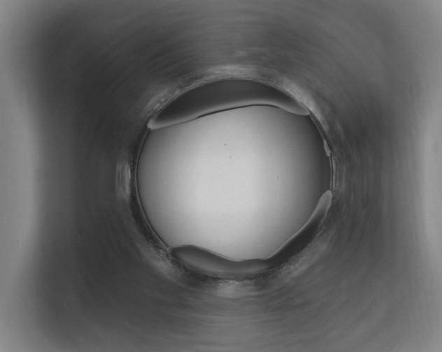 X0000112360109200908131242