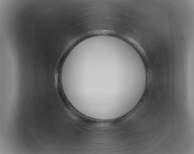 X0000112360110200908131242