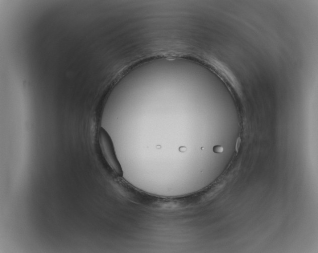 X0000112360113200908131242