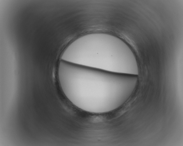 X0000112360115200908131242