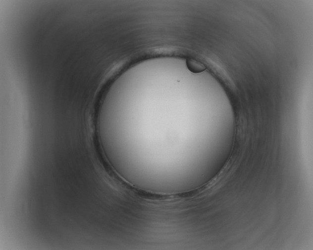 X0000112360116200908131242