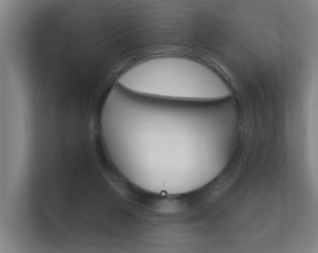 X0000112360119200908131242