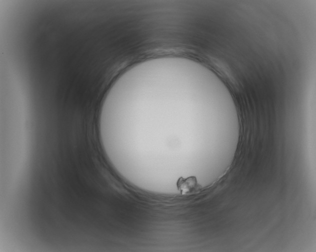 X0000112360120200908131242