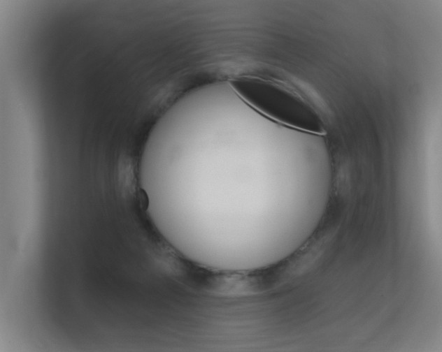 X0000112360121200908131242