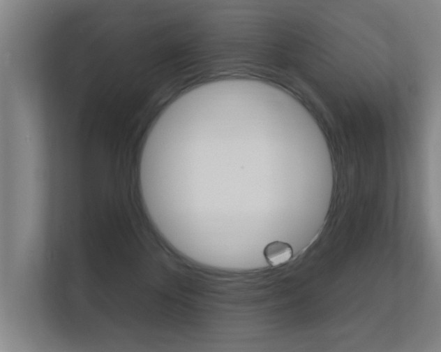 X0000112360124200908131242