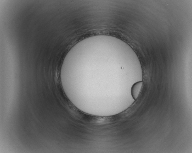 X0000112360130200908131242